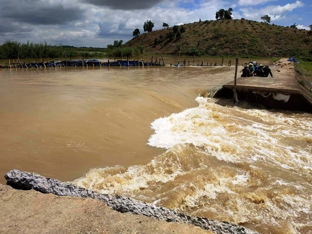 Đắk Lắk: Vỡ đê bên sông Krông Ana, hàng ngàn ha lúa bị nhấn chìm - ảnh 4