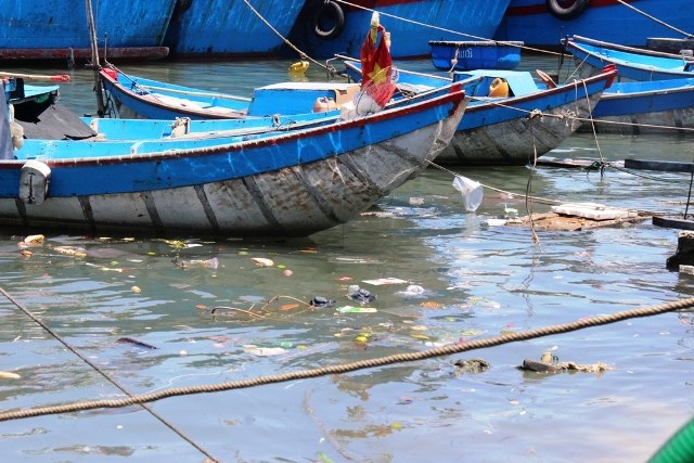 Khánh Hòa: Rác thải tràn lan mặt biển, ảnh hưởng môi trường du lịch - ảnh 2