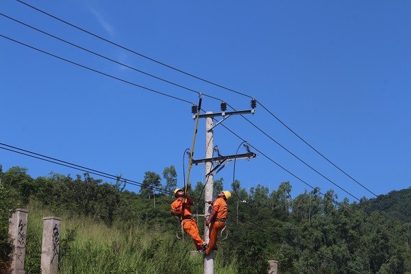 PC Khánh Hòa: Tập huấn thi công tháo, lắp kẹp đấu dây trên lưới điện trung áp - ảnh 1