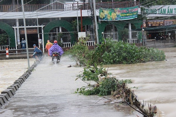 Mưa lũ tiếp tục gây thiệt hại nặng tại các tỉnh Nam Trung Bộ - ảnh 2