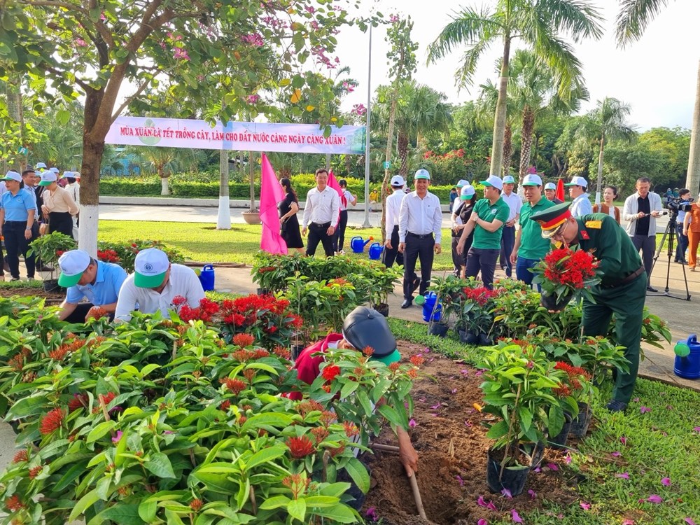 Đà Nẵng phấn đấu trồng 1 tỷ cây xanh cải thiện cảnh quan môi trường - ảnh 1