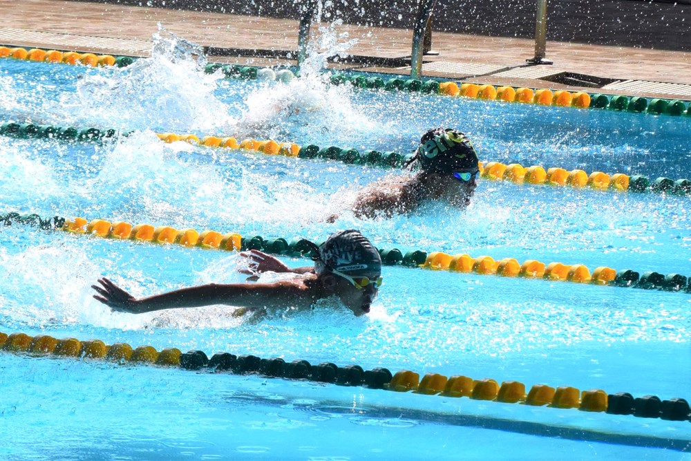 414 vận động viên tranh tài tại Giải bơi, lặn vô địch trẻ quốc gia 2024 - ảnh 1