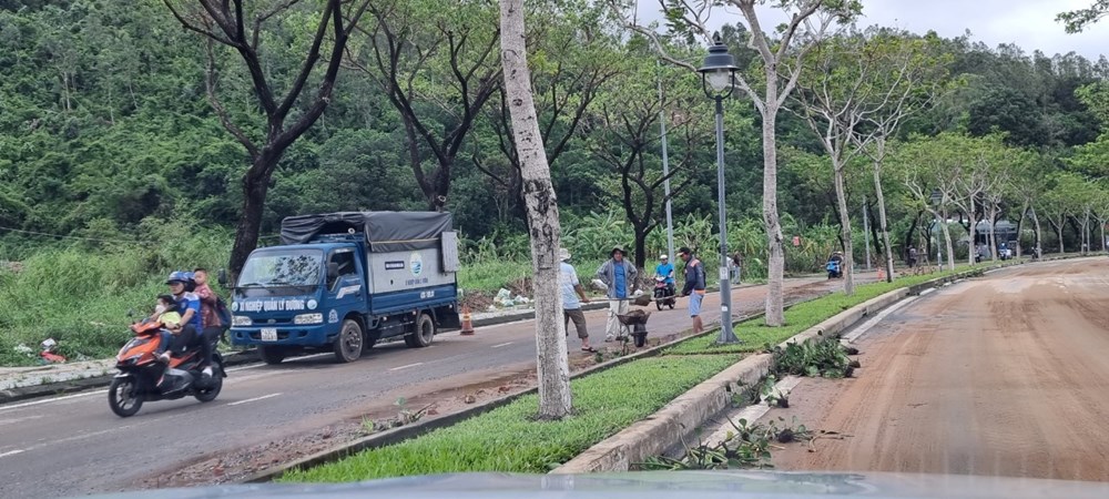 Đà Nẵng bắt đầu cắt tỉa cây xanh, chủ động ứng phó với mưa bão  - ảnh 1