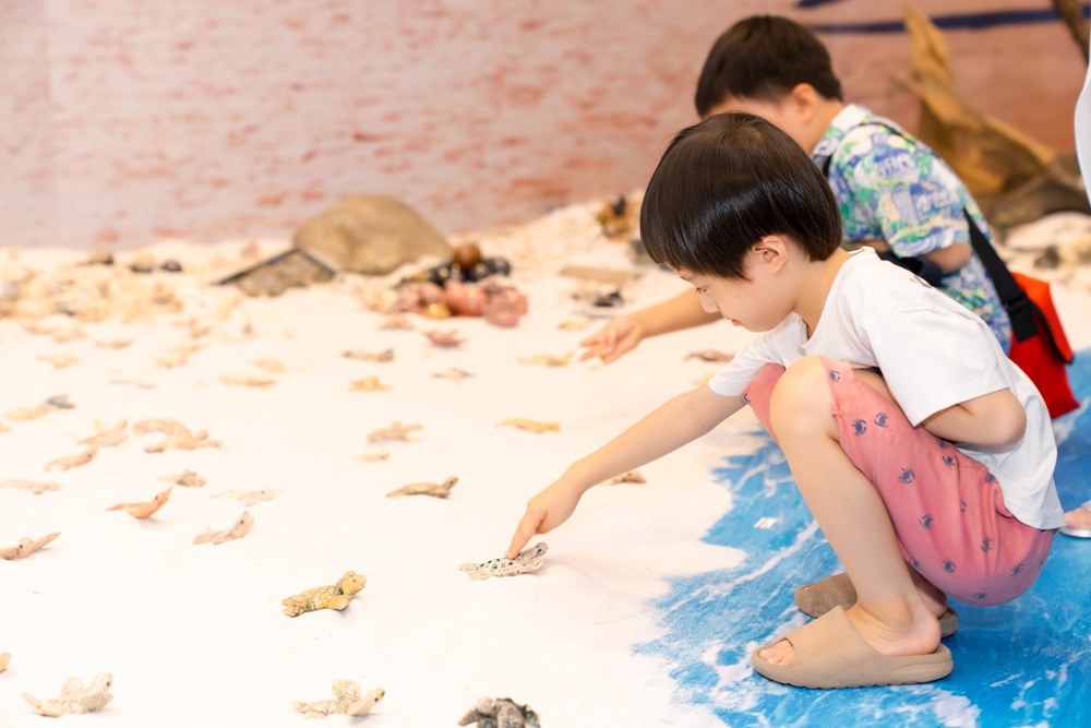 1.001 rùa biển bằng gốm được trưng bày tại triển lãm “Phiêu” - ảnh 2