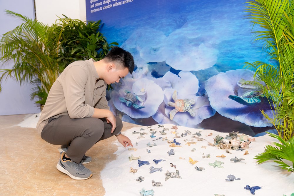 1.001 rùa biển bằng gốm được trưng bày tại triển lãm “Phiêu” - ảnh 3