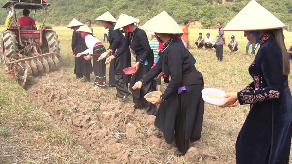 Về Định Quán, vui với lễ hội đồng bào dân tộc thiểu số - ảnh 3