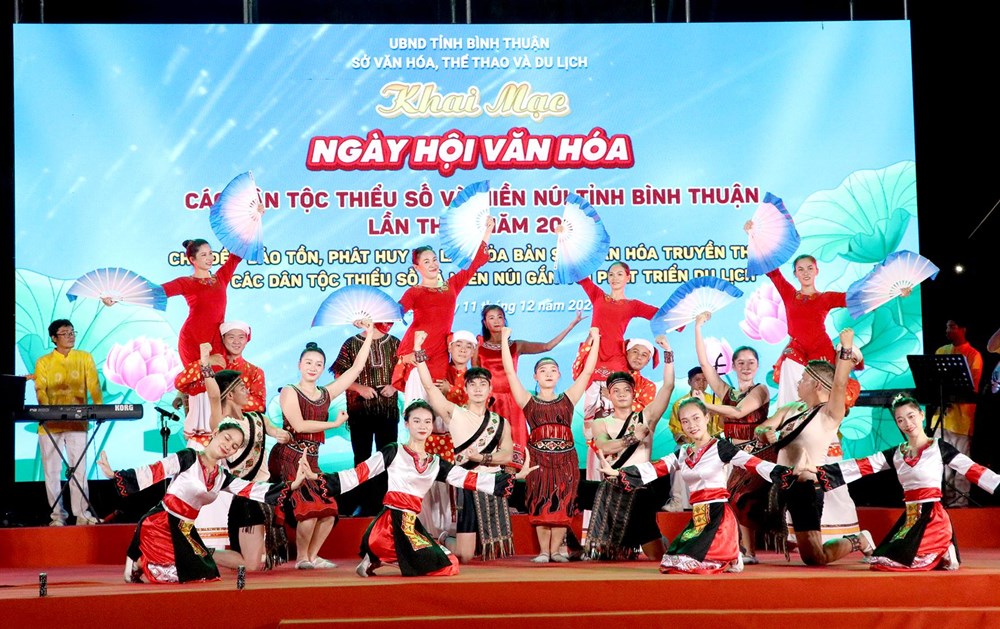 Tôn vinh giá trị văn hóa các dân tộc thiểu số và miền núi - ảnh 1