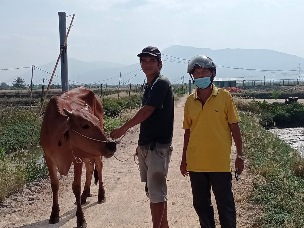  Huyện Ninh Hải đẩy mạnh triển khai công tác giảm nghèo - ảnh 2