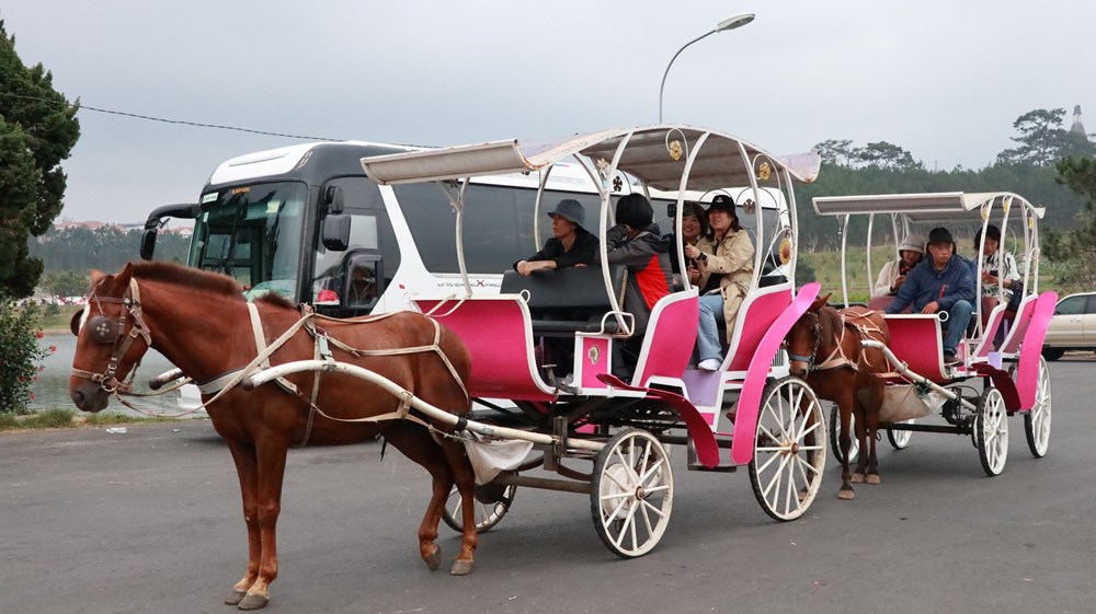 Tây Nguyên cần tăng cường liên kết phát triển du lịch  - ảnh 4