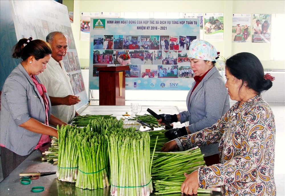 Bài 2 - Chú trọng xây dựng sản phẩm du lịch đặc sắc, mới lạ - ảnh 5