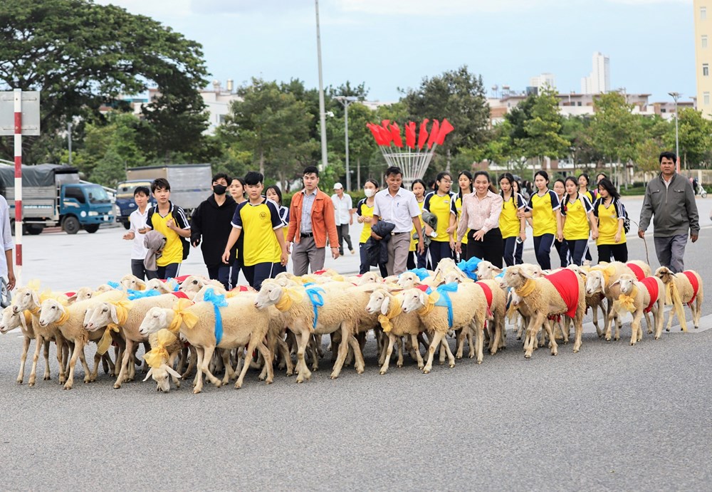 Bài 4 - Quan tâm đào tạo nguồn nhân lực du lịch - ảnh 5