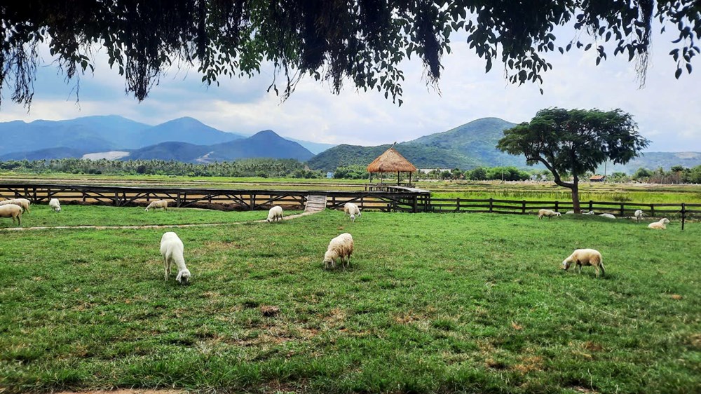 Bài 1- Xây dựng tour du lịch trải nghiệm, tham quan 3 điểm đến - ảnh 5