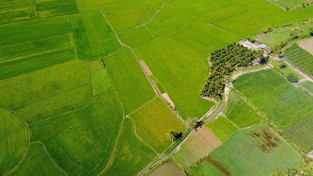 Huyện Ninh Phước quan tâm đào tạo nghề lao động nông thôn, vùng nghèo, khó khăn - ảnh 4