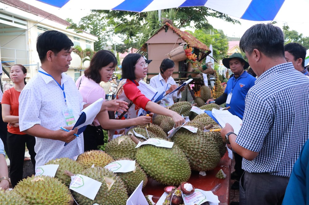 Phát động ủng hộ Quỹ “Vì người nghèo” năm 2024 - ảnh 3