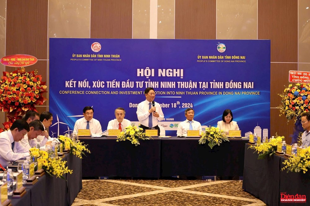 Năm 2024, Ninh Thuận nằm trong nhóm 10 tỉnh dẫn đầu cả nước về thu hút vốn FDI - ảnh 2