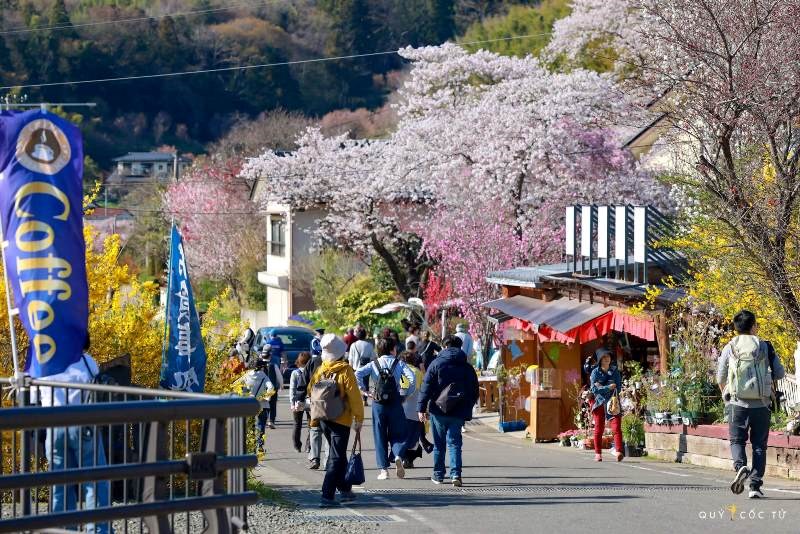 Ngắm hoa anh đào tuyệt đẹp ở Fukushima cùng Ngô Trần Hải An - ảnh 8