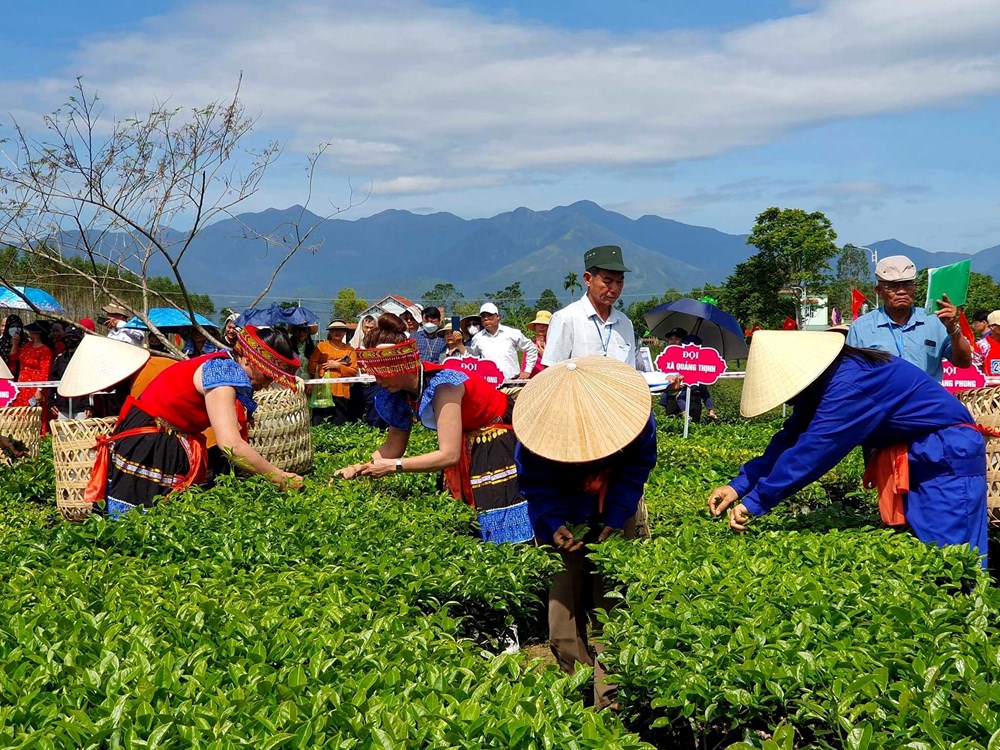 Lễ hội Trà Đường Hoa huyện miền núi vùng Đông Bắc - ảnh 5