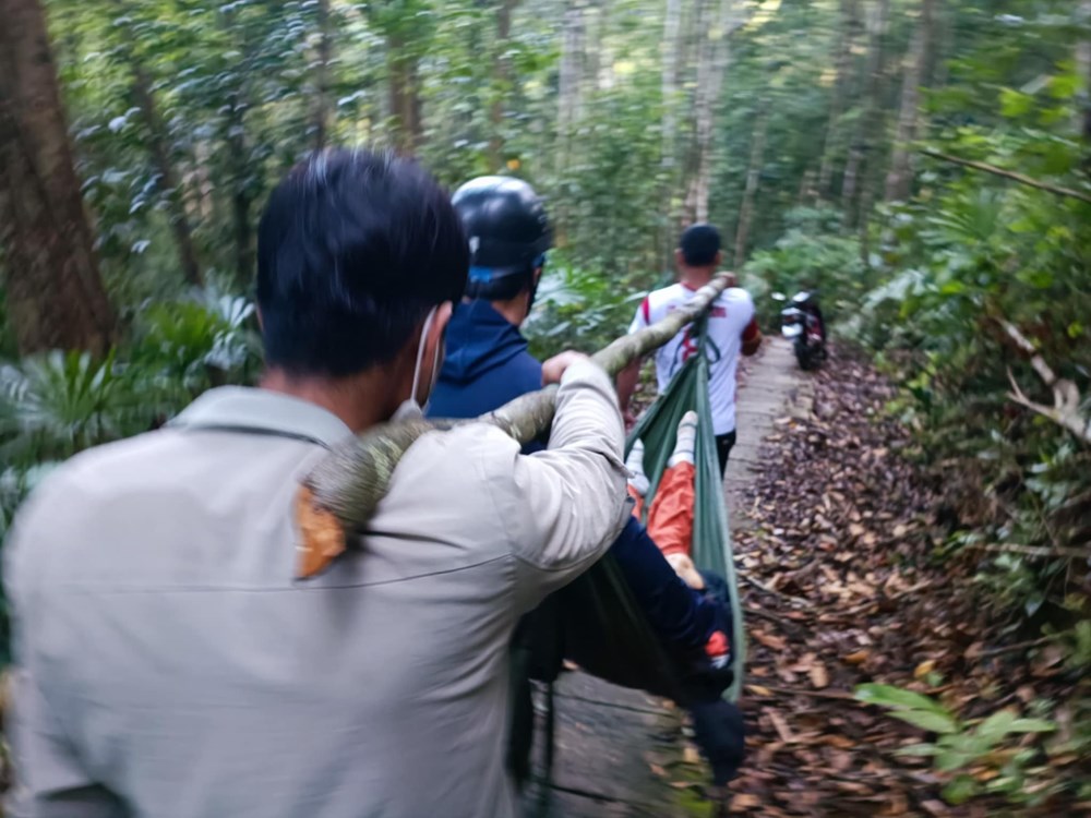 Gia Lai: Nữ du khách đi du lịch bị cây ngã đè tử vong - ảnh 1