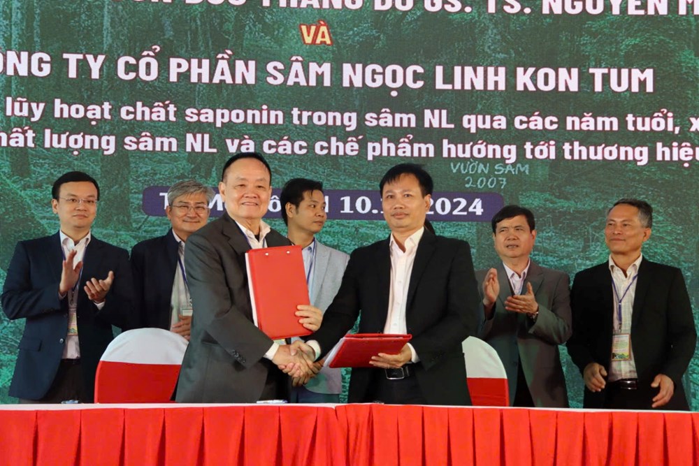 Hội thảo sâm Ngọc Linh - sâm Việt Nam  - ảnh 3