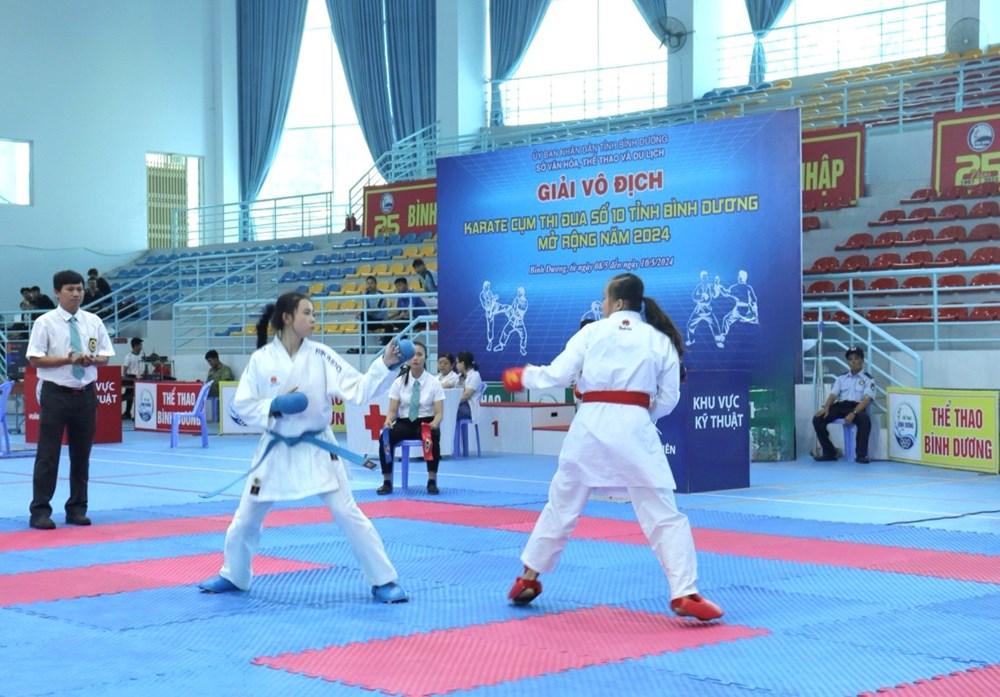 Khai mạc Giải vô địch Karate Cụm thi đua số 10 mở rộng năm 2024 - ảnh 2