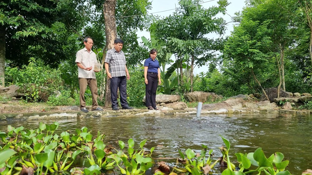 Thoát nghèo trên mảnh đất quê hương - ảnh 2