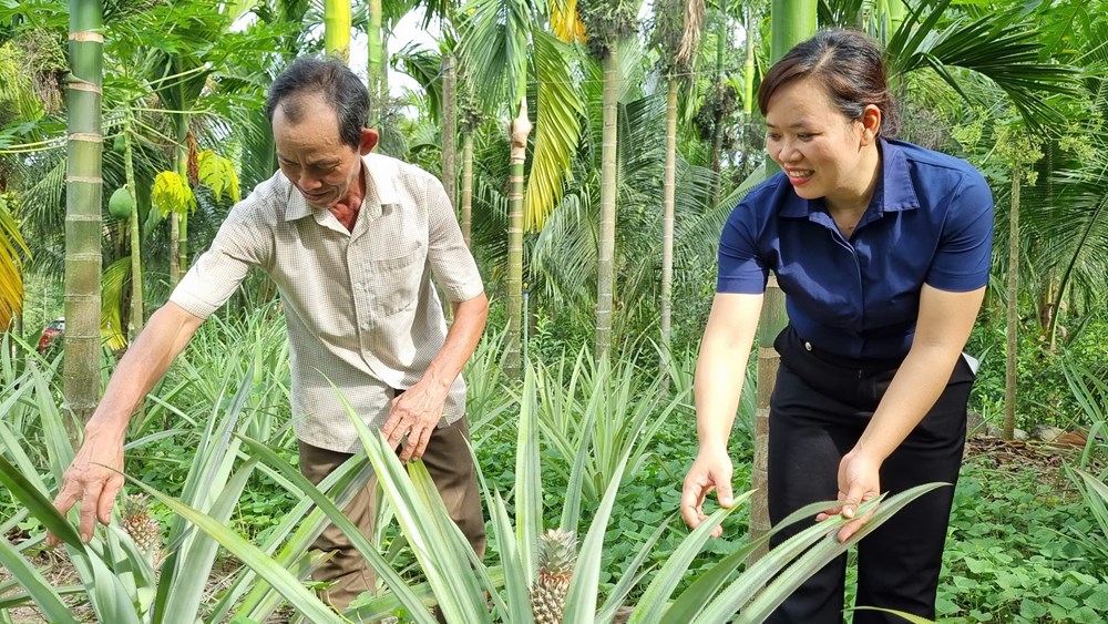 Thoát nghèo trên mảnh đất quê hương - ảnh 4