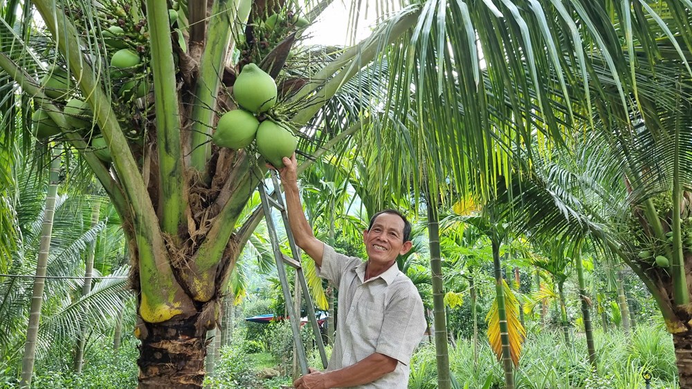 Thoát nghèo trên mảnh đất quê hương - ảnh 5