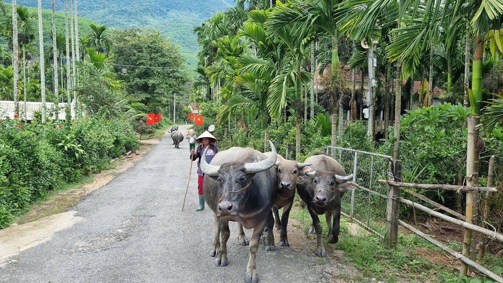 Thoát nghèo trên mảnh đất quê hương - ảnh 6