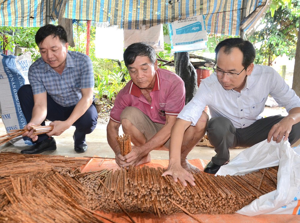 Thành công từ mô hình sản xuất đũa gỗ - ảnh 4