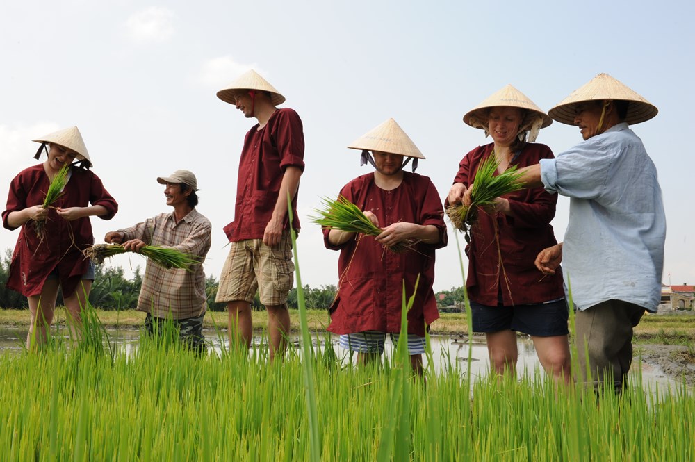 Bảo tồn văn hóa nông thôn trong phát triển du lịch cộng đồng - ảnh 1