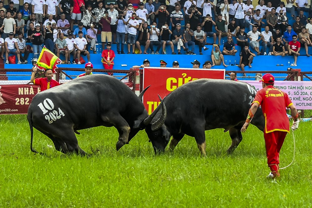 Chú trọng những giải pháp trọng tâm, trọng điểm - ảnh 1