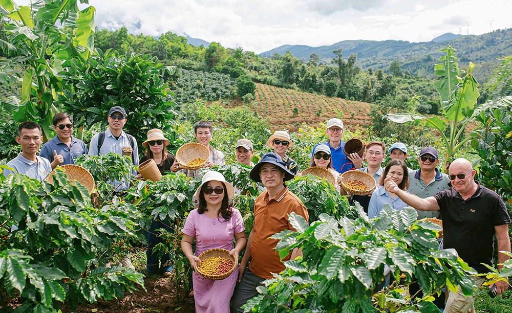 Khai thác tiềm năng phát triển du lịch nông thôn - ảnh 2