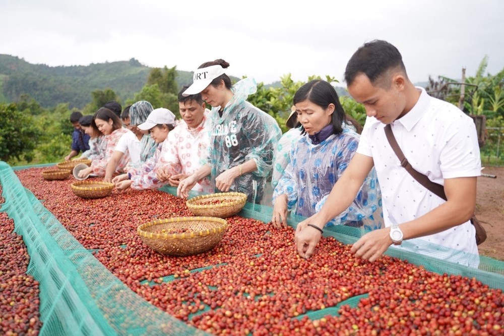 Khai thác tiềm năng phát triển du lịch nông thôn - ảnh 1