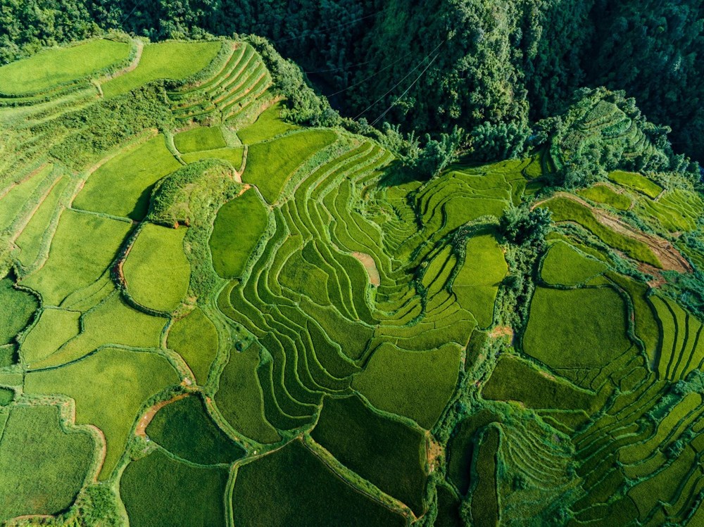 Sa Pa mùa lúa xanh – thiên đường nơi hạ giới - ảnh 3