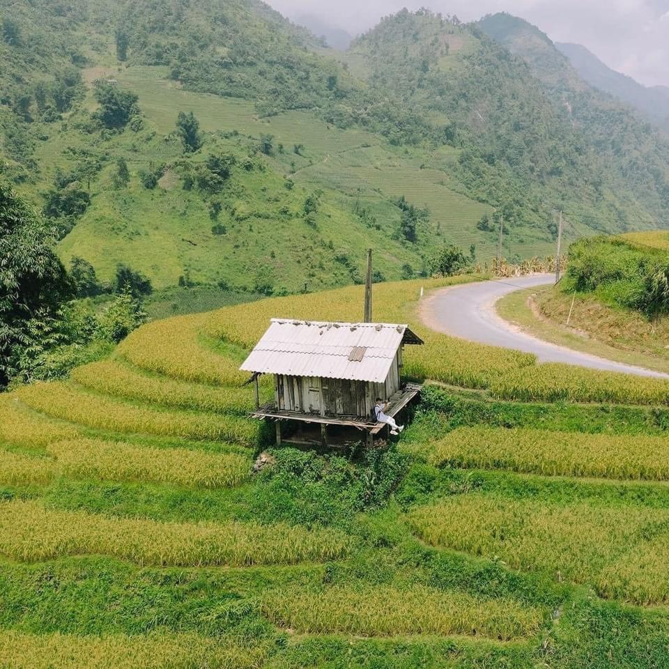 Sa Pa mùa lúa xanh – thiên đường nơi hạ giới - ảnh 5