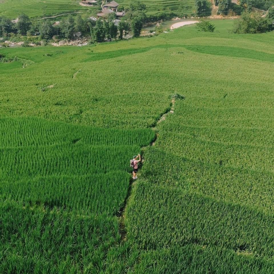 Sa Pa mùa lúa xanh – thiên đường nơi hạ giới - ảnh 7