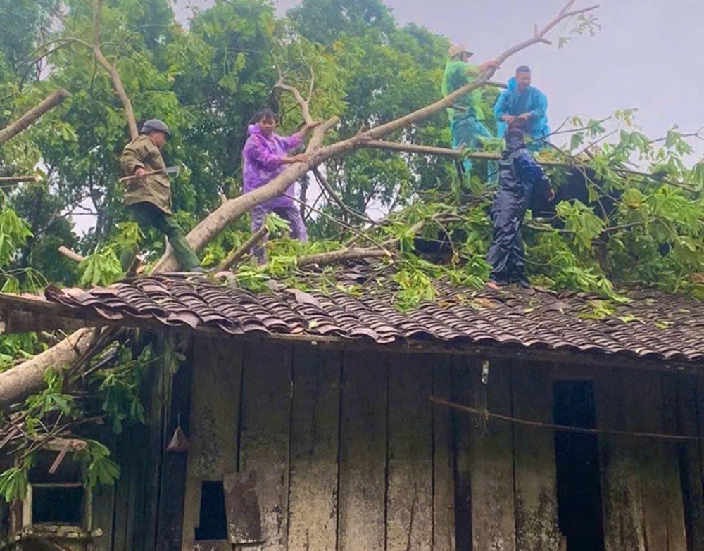 Lạng Sơn: Đề nghị Thủ tướng Chính phủ hỗ trợ 450 tỷ đồng khắc phục thiệt hại do bão số 3 - ảnh 3