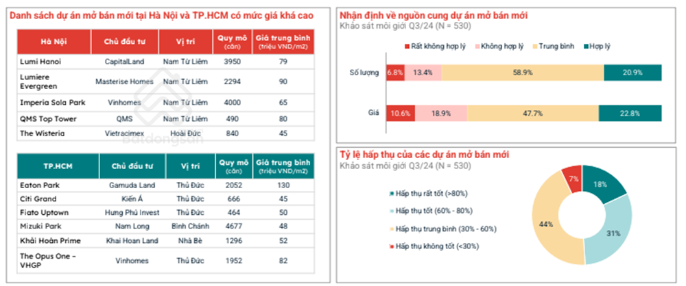 Toàn cảnh thị trường bất động sản Việt Nam 2024 và tiêu điểm Bình Dương - ảnh 1