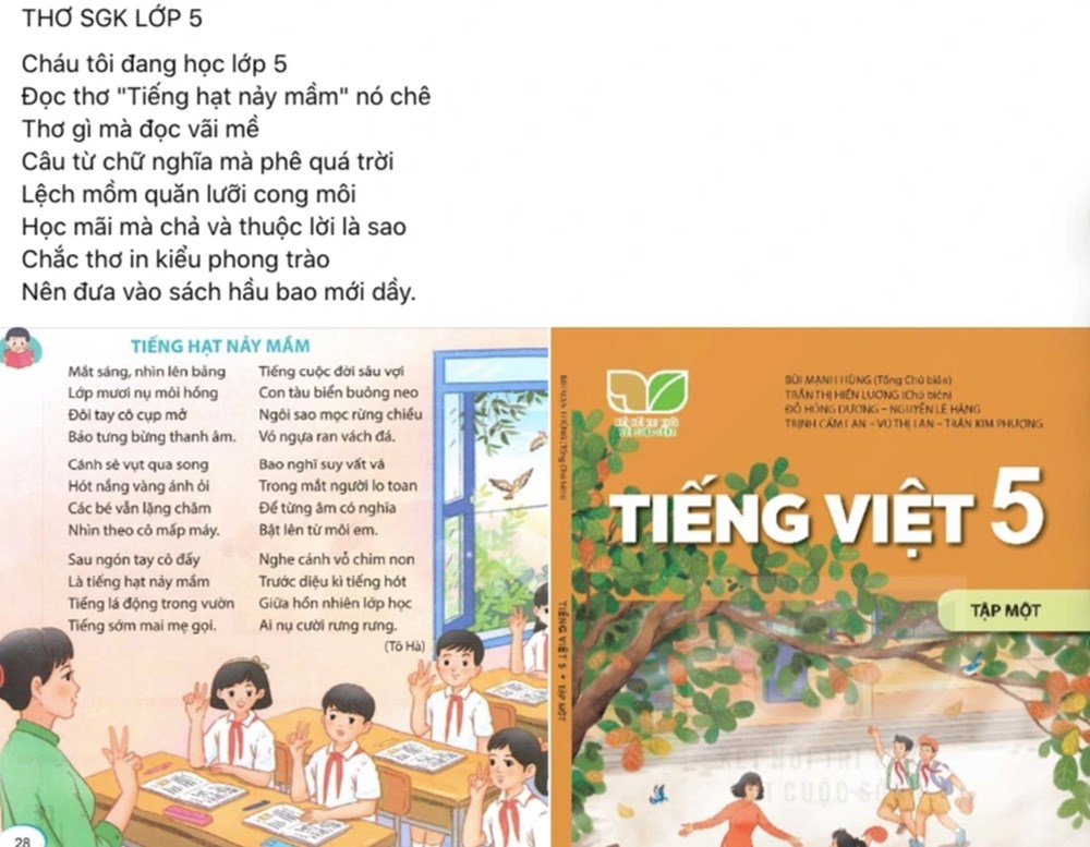 Nhà văn Nguyễn Thị Việt Hà bức xúc vì bài thơ “Tiếng hạt nảy mầm” bị phê phán - ảnh 1