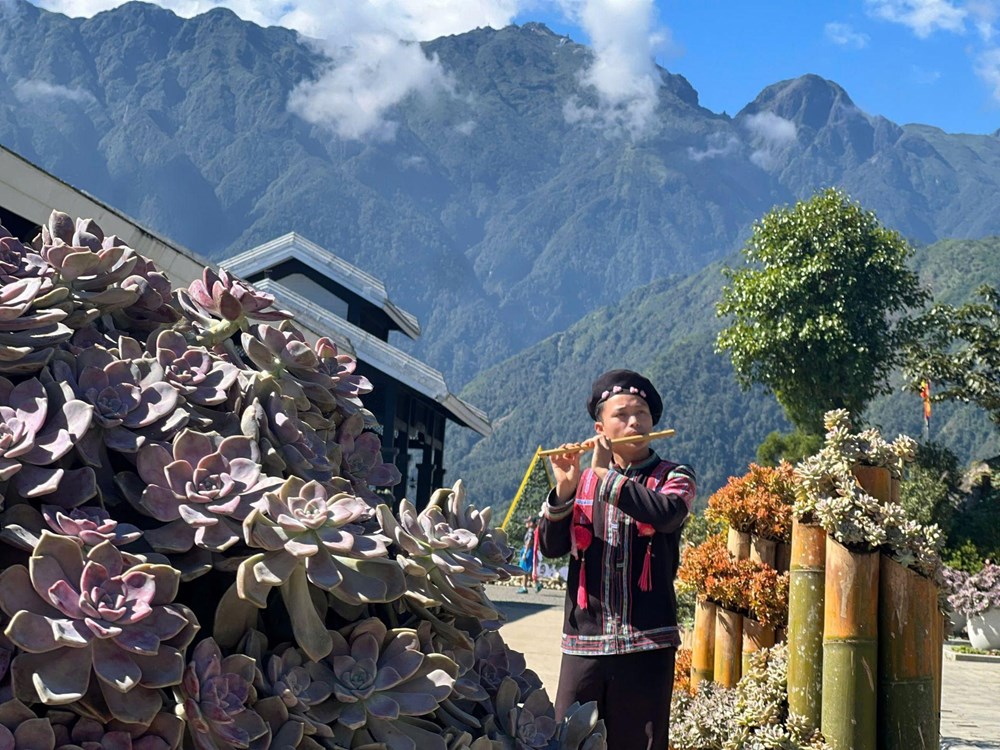 Sa Pa tưng bừng tổ chức lễ hội hoa sen đá trong ngày kích cầu du lịch - ảnh 3