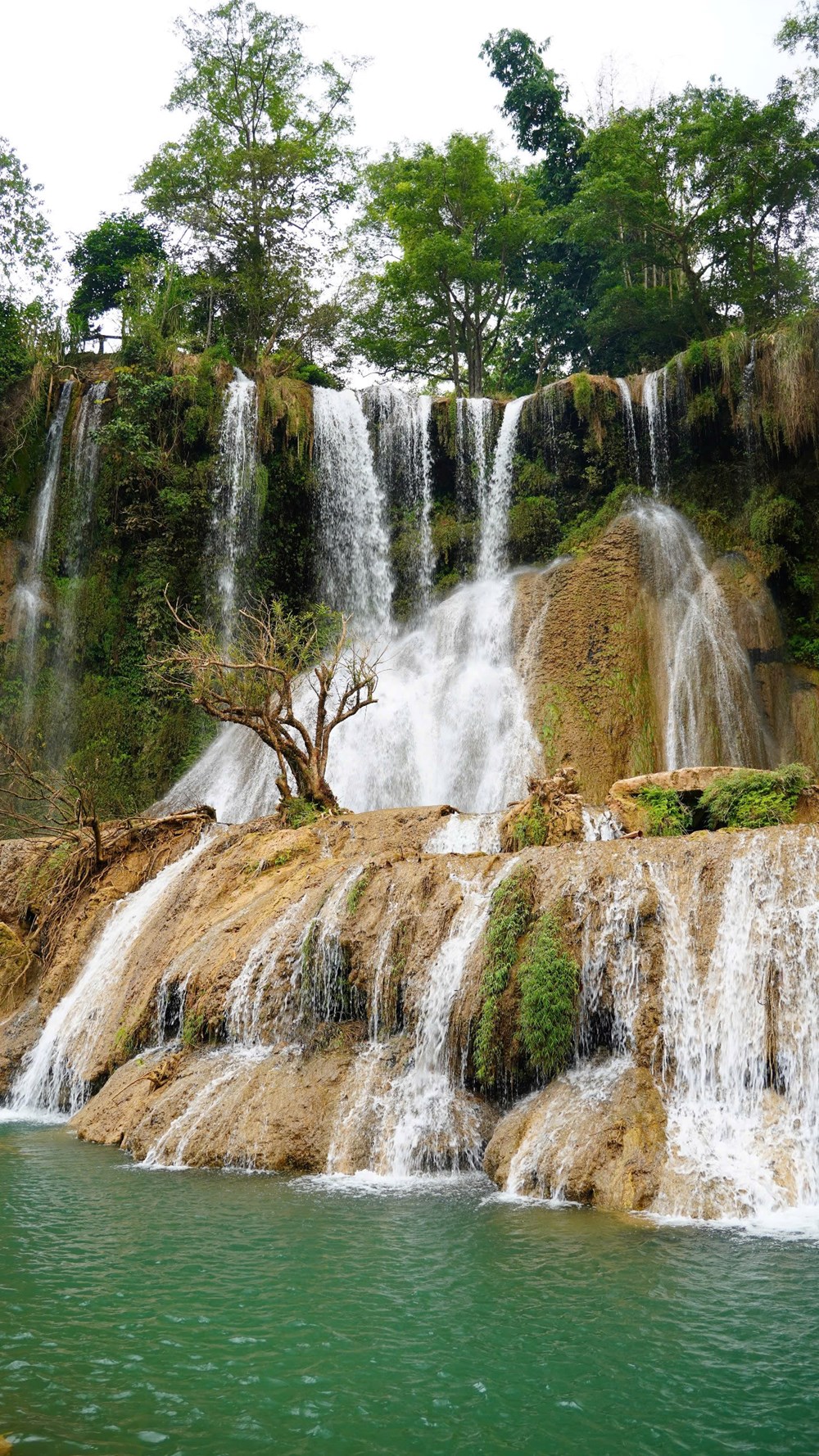 Thác mây, vườn hồng đậm vị cao nguyên - ảnh 2