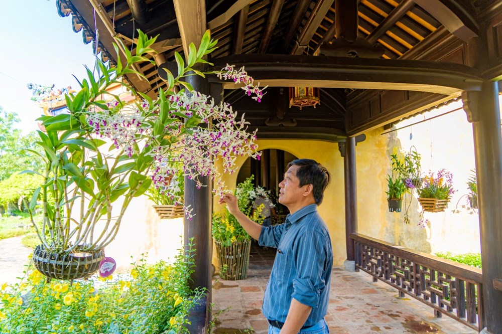 Trưng bày hơn 1.000 tác phẩm cây kiểng và hoa phong lan tại khu di sản Huế  - ảnh 3
