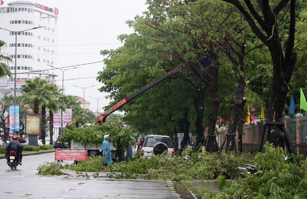 Giằng chống di tích, cắt tỉa cây xanh, neo đậu tàu thuyền ứng phó mưa bão - ảnh 1