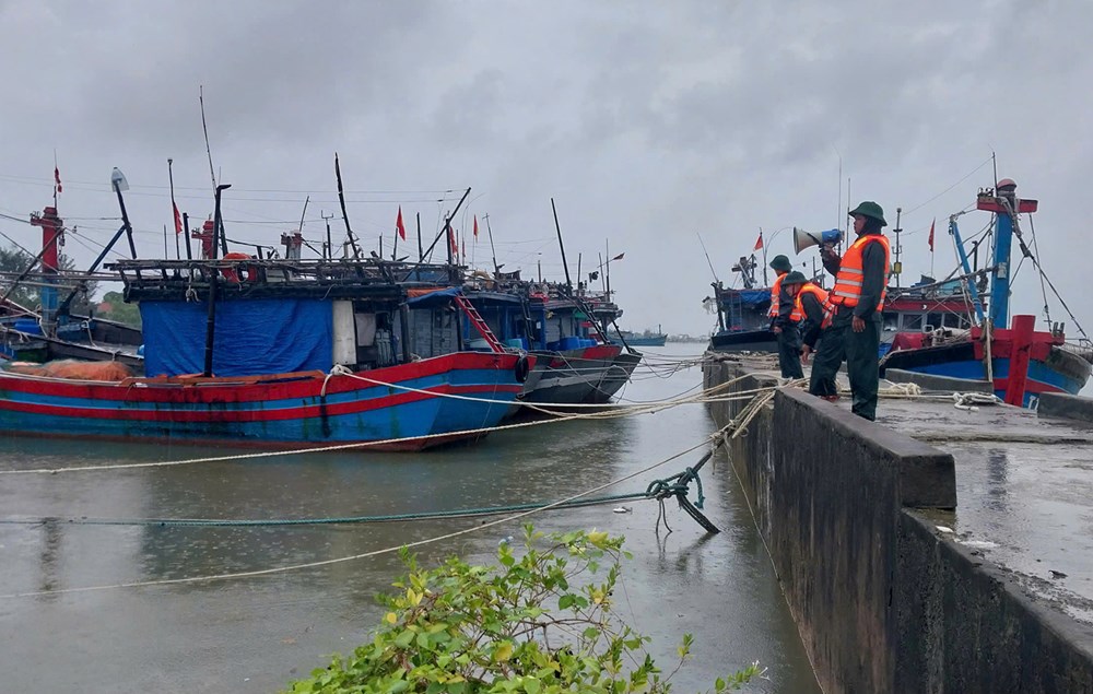 Giằng chống di tích, cắt tỉa cây xanh, neo đậu tàu thuyền ứng phó mưa bão - ảnh 2