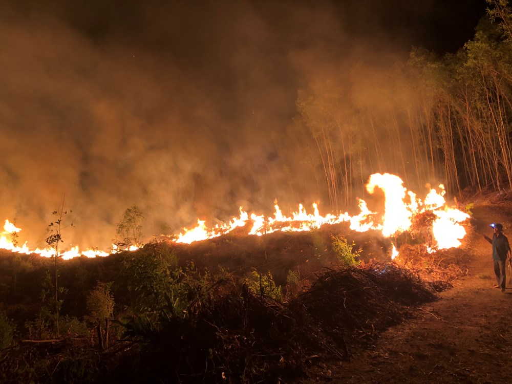 Giảm thiểu nguy cơ cháy rừng từ đốt thực bì - ảnh 3
