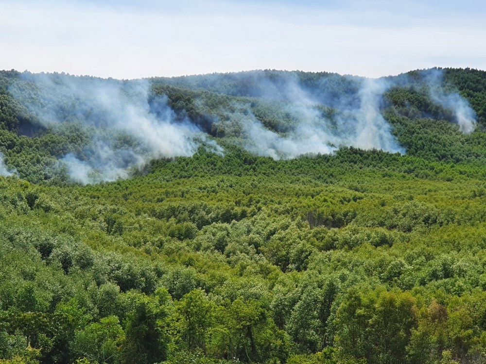 Giảm thiểu nguy cơ cháy rừng từ đốt thực bì - ảnh 2