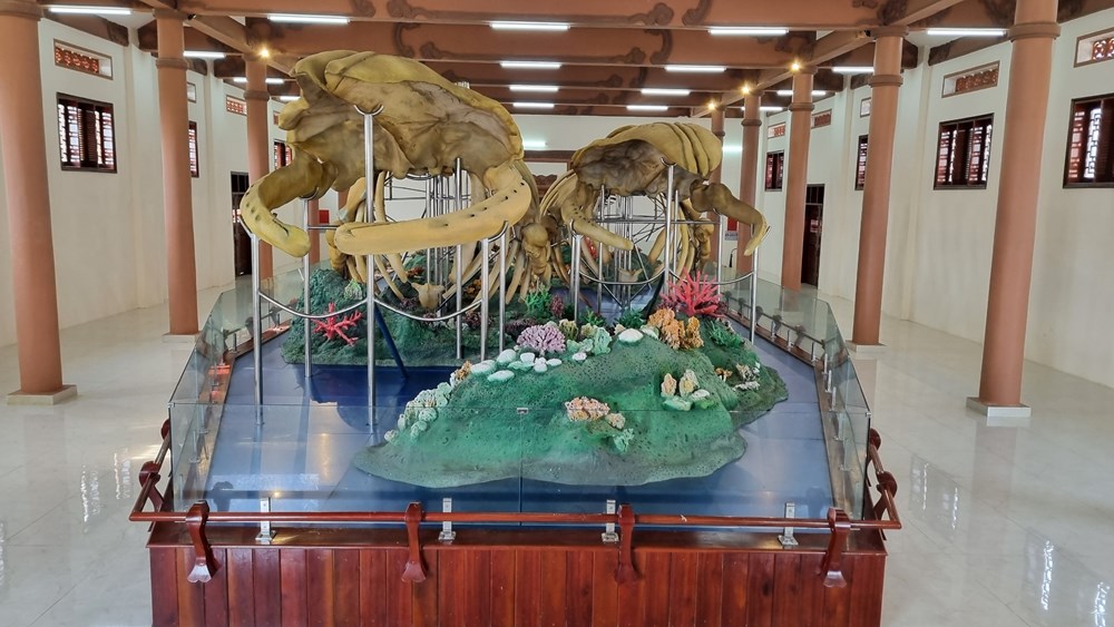 Nhà trưng bày bộ xương cá ông đảo Lý Sơn hút khách - ảnh 5
