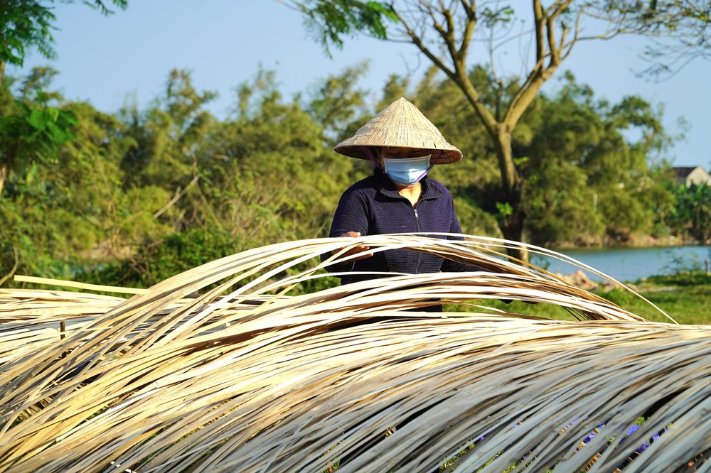 Khám phá nghề đan thúng chai ven sông Trà Bồng - ảnh 3