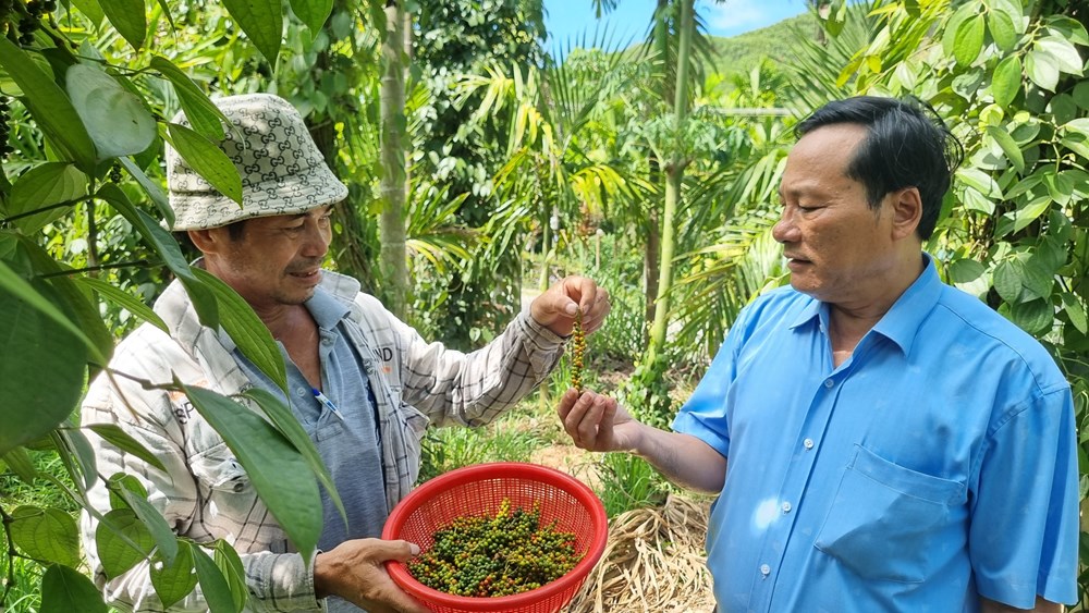 Xã Hành Tín Đông xây dựng NTM gắn với giảm nghèo bền vững - ảnh 1