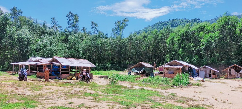 Xã Hành Tín Đông xây dựng NTM gắn với giảm nghèo bền vững - ảnh 6